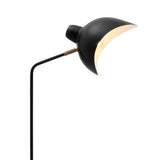 Black finish | antique brass finish | black marble base