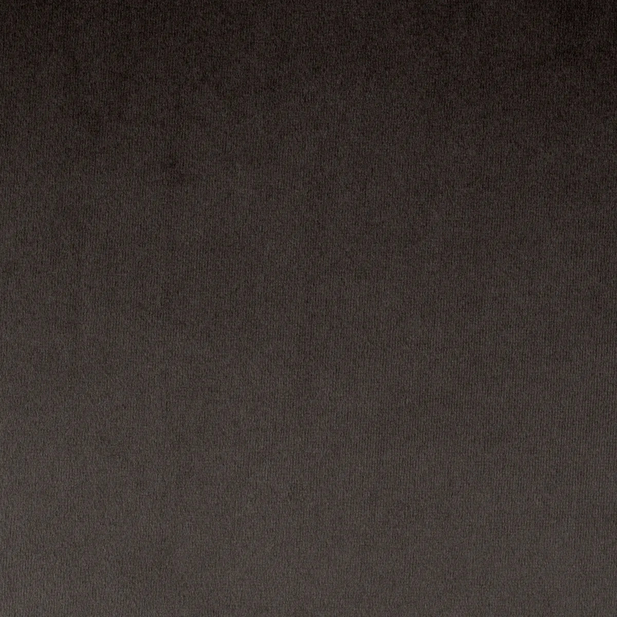 Roche dark grey velvet