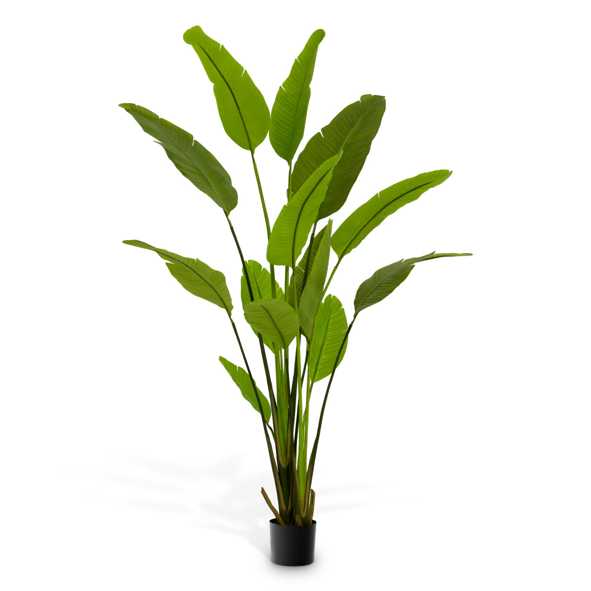 Roślina sztuczna Strelitzia M, zielona