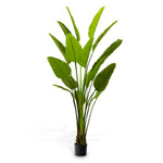 Roślina sztuczna Strelitzia L, zielona