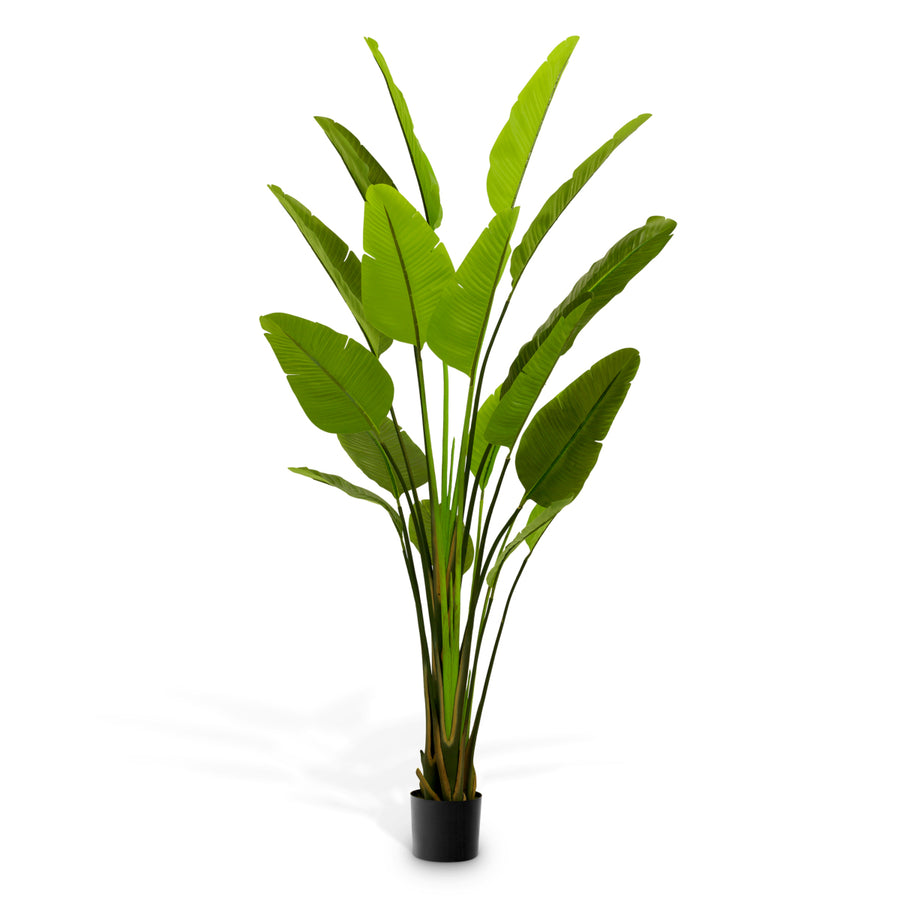 Roślina sztuczna Strelitzia L, zielona