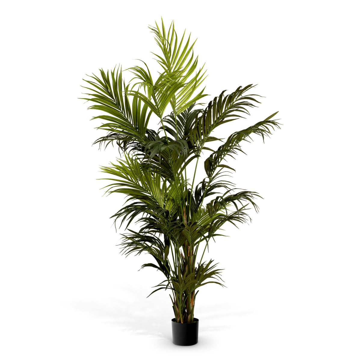 Roślina sztuczna Kentia Palm, zielona