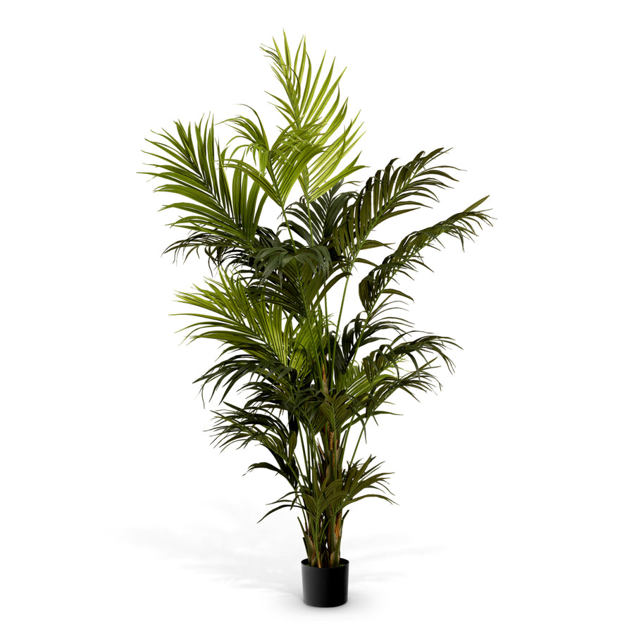 Roślina sztuczna Kentia Palm, zielona
