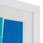 Grafika Silkscreen from Boissière I by Henri Boissière