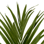 Roślina sztuczna Kentia Palm, zielona