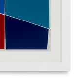 Grafika Silkscreen from Boissière II by Henri Boissière