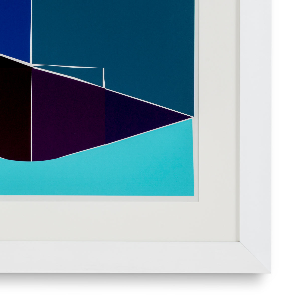 Grafika Silkscreen from Boissière I by Henri Boissière
