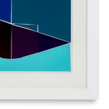 Grafika Silkscreen from Boissière I by Henri Boissière