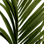 Roślina sztuczna Kentia Palm, zielona