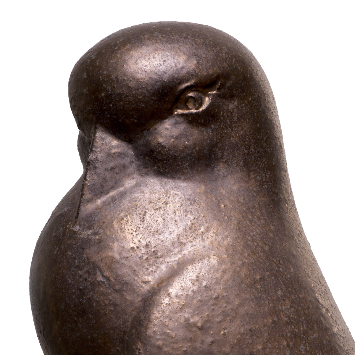 Ptak Dove