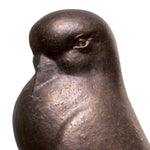 Ptak Dove