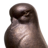 Ptak Dove