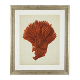 Fotoobraz Eichholtz Antique Red Corals, zestaw 6 szt.