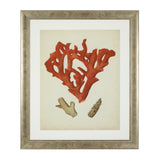 Fotoobraz Eichholtz Antique Red Corals, zestaw 6 szt.