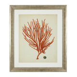 Fotoobraz Eichholtz Antique Red Corals, zestaw 6 szt.