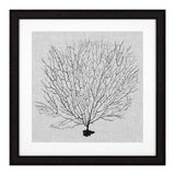 Fotoobraz Eichholtz Shadow Sea Fans, zestaw 4 szt.