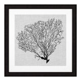 Fotoobraz Eichholtz Shadow Sea Fans, zestaw 4 szt.