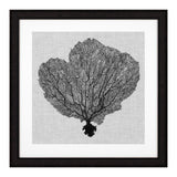 Fotoobraz Eichholtz Shadow Sea Fans, zestaw 4 szt.