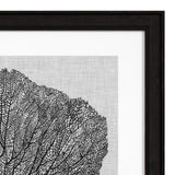 Fotoobraz Eichholtz Shadow Sea Fans, zestaw 4 szt.