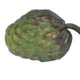 Owoc figi 12 cm